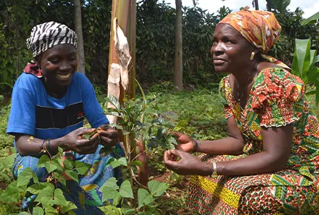 International Sustainability Impact Report 2025 | Tata Consumer Products